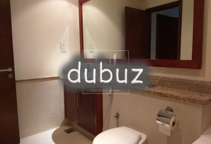 large-1br-south-ridge-down-town-garden-view-big-3