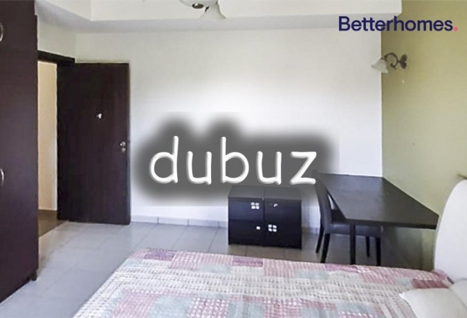 immaculate-condition-fully-furnished-park-view-big-10