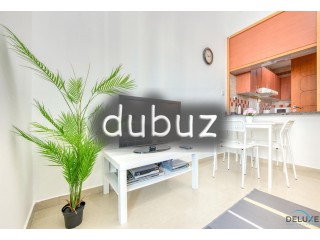 Furnished 1BR | Well Maintained | Chiller Free