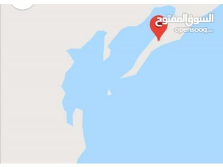 
                        شبه جزيرة (لسان بحري) ومرسى يخوت على البحر الاحمر                                            