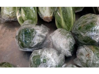 
                        المصفح الشعبية شرق 12 بجانب موقف الباصات                                            