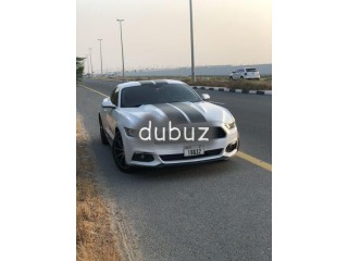 
                            
                            V4 Turbo Mustang/ Perfect Condition
                            
                        