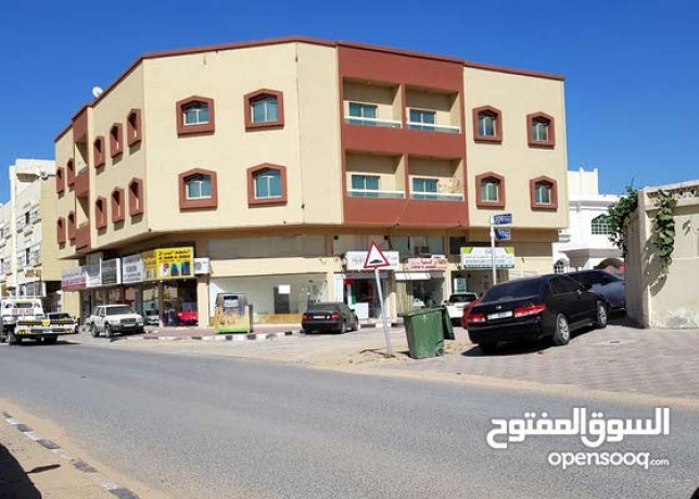 llbyaa-bnayh-zaoy-sharaa-kar-big-1