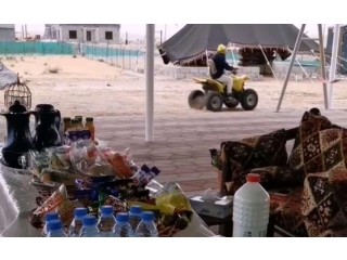 
                        مزرعه للايجار اليومي مناسبه للعائلات اجوا بريه                                            