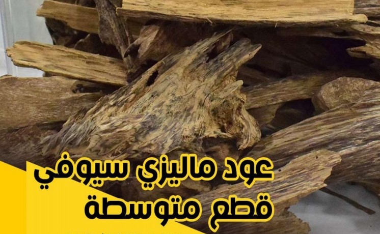 afdl-anoaaa-alaaod-almalyzy-tbyaay-ofakhr-big-0