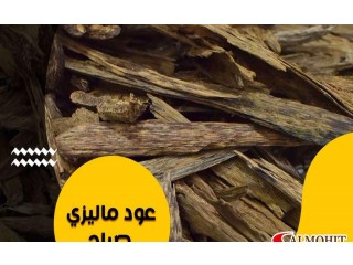 
                        عود ماليزي صباح                                            