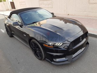
                            
                            2019 GT MUSTANG CONVERTIBLE 5.0 V8
                            
                        