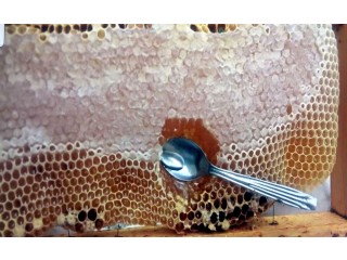 
                        عسل سمر رأس الخيمة إنتاج 24 مايو 2020                                            