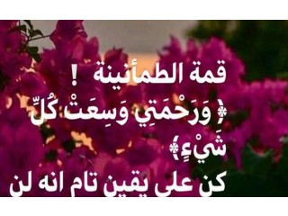 
                        سوداني يبحث عن عمل                                            