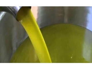 
                        يوجد لدينا زيت زيتون بكر عصرة اولى مكفول                                            