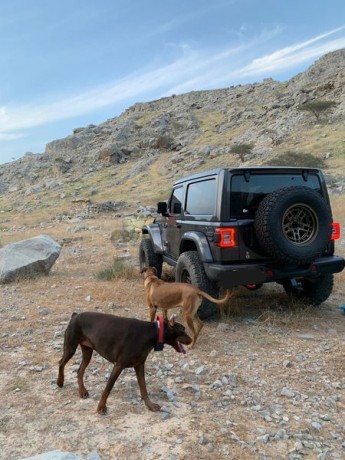 2019-rubicon-under-warranty-with-many-accessories-big-1