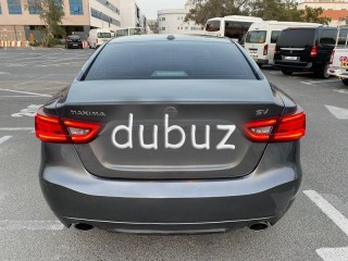 
                            
                            Nissan Maxima Grey 2018 (SV)
                            
                        