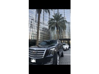 
                            
                            URGENT!!!!! Cadillac Escalade/driven by a lady/flawless/service+warranty/only 18000 km
                            
                        
