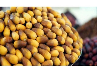 
                        اطيب والذ رطب                                            