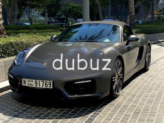 
                            
                            Immaculate Limited Edition 981 GTS
                            
                        