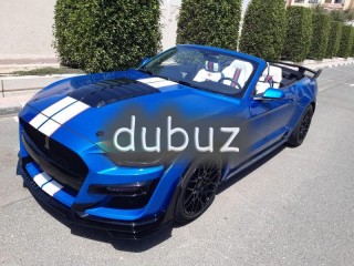 
                            
                            2019 MUSTANG CONVERTIBLE SPECIAL CAR
                            
                        