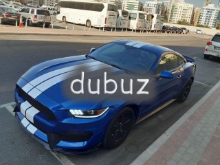 
                            
                            2017 MUSTANG BLUE WITH WARRANTY
                            
                        