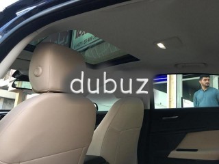 
                            
                            جاكور وارد امريكا في قمة النضافة ويوجد ظمان عليها
                            
                        