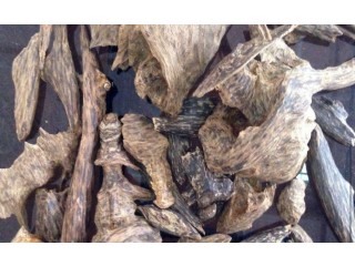 
                        عود لاوسي فاخر                                            