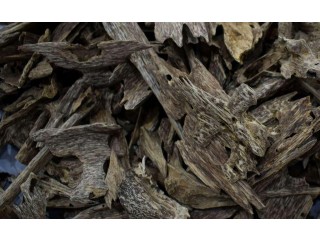 
                        عود فيتنامي سيوفي هندي                                            