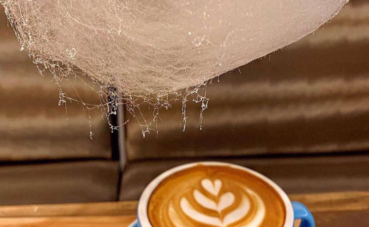 barista-waiter-cashier-big-1