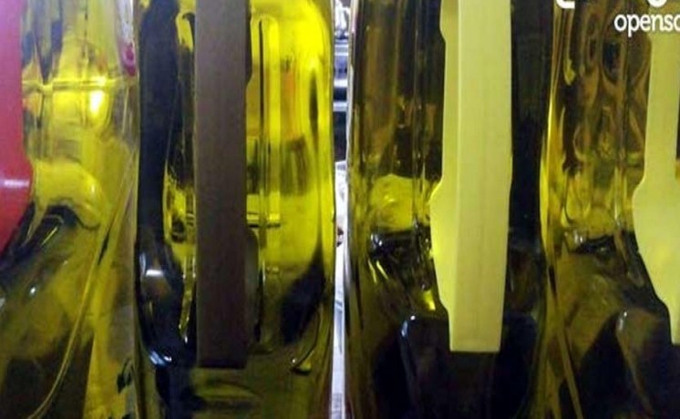 abu-dhabi-olive-oil-big-1