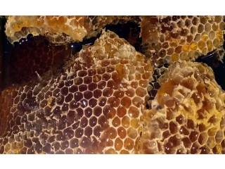 
                        عسل شمع اصلي                                            