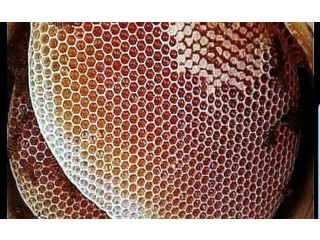 
                        جميع انواع العسل اليمني خلطه عسل للتبول اللاارادي عسل خاص بالانجاب للرجال والنساء                                            