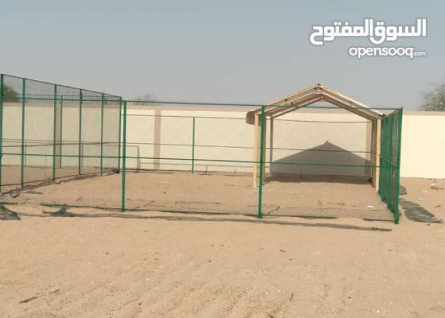 mzaraaaazbllbyaallajarmsahat-mkhtlfh-lltoasl0569139911-0544337979-big-14
