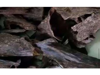 
                        عود كلمنتان اندونيسي                                            