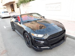 
                            
                            2017 MUSTANG ECO-BOOST PREMIUM CONVERTIBLE
                            
                        