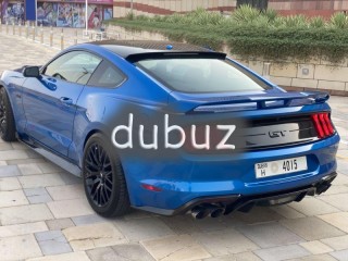 
                            
                            5.0 GT // 11,000 Km // 2019
                            
                        