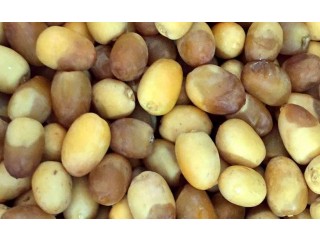 
                        اجود انواع الرطب من مزارعنا                                            