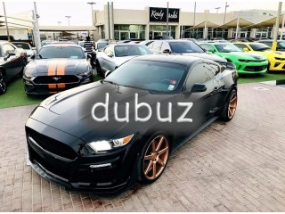 
                            
                            V8/GT/5.0L/PREMIUM/JLT PERFORMANCE/CUSTOM RIMS/2020 SHELBY KIT/MORE OPTIONS
                            
                        