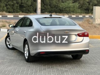 
                            
                            Malibu 2019 and the US run very clean
                            
                        