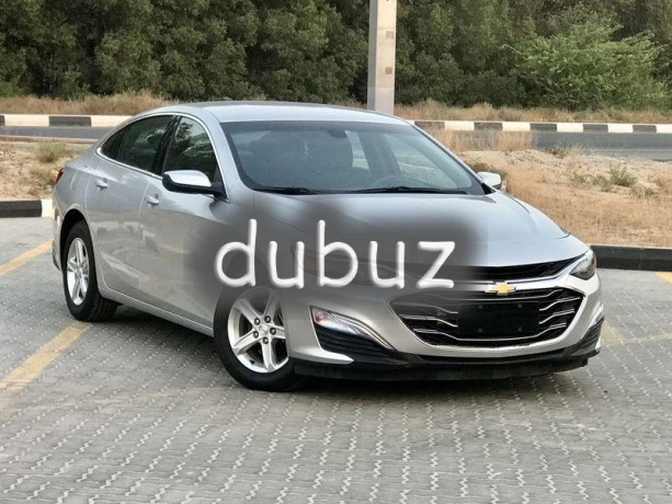 malibu-2019-and-the-us-run-very-clean-big-0