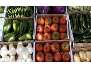 
                        مطلوب ممول لمشروع تجارة مواد غذائية                                            