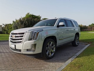 
                            
                            2017 Escalade Premium (under warranty)
                            
                        