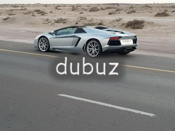 special-lamborghini-aventador-lp-700-4-roadster-big-12