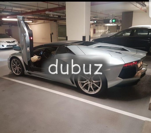 special-lamborghini-aventador-lp-700-4-roadster-big-7