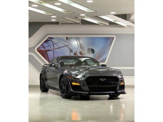 
                            
                            Ford Mustang 2019 GT5.0 /Digital odometer
                            
                        