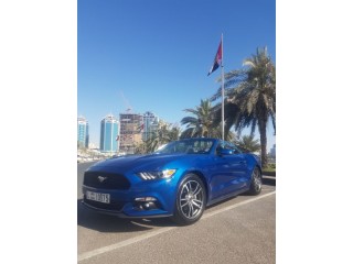 
                            
                            V4 eco boost 8 Gt primum urgent sale low price very clean master piece ford mustang ecoboost premium
                            
                        