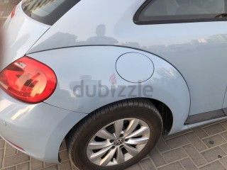 
                            
                            Lovely Blue Sky Beetle
                            
                        