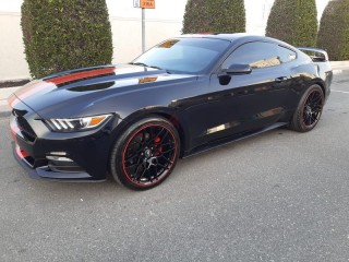 
                            
                            2017 MUSTANG V6 WITH WARRANTY  SERVICE CONTRACT
                            
                        