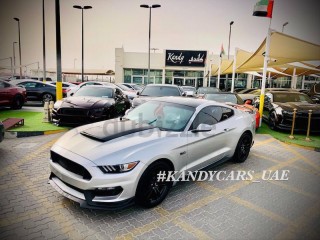 
                            
                            PREMIUM/V4/SHELBY BODY KIT/00 DOWN PAYMENT
                            
                        