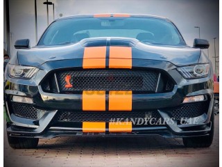 
                            
                            V8/GT/5.0L/MT/CAT-BACK EXHAUST SYSTEM/SHELBY FULL BODY KIT
                            
                        