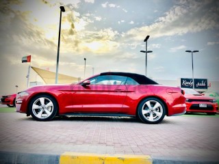 
                            
                            SPECIAL EDITION/ PREMIUM/ RADAR/ MEMORY SEATS/ V4 ECOBOOST/ MONTHLY 1040/-
                            
                        