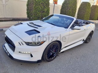 
                            
                            2017 MUSTANG CONVERTIBLE ECO-BOOST PREMIUM
                            
                        