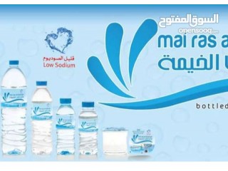 
                        شركة ماى رأس الخيمة                                            