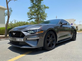 
                            
                            FORD MUSTANG GT ( CLEAN TITLE )
                            
                        